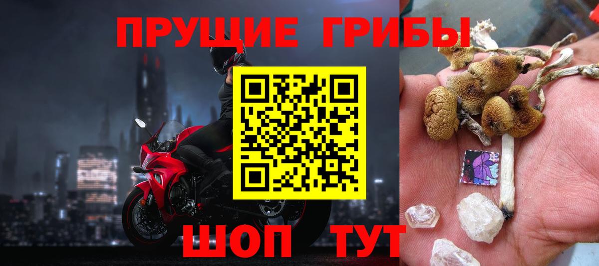 Псилоцибиновые грибы MAGIC MUSHROOMS  Галлюциногенные грибы Psilocybe  Ступино  Вход с VPN 
